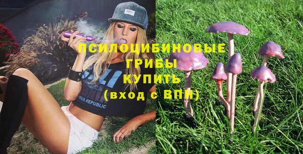амф Абдулино