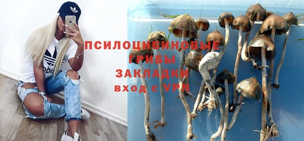 кокс Алексеевка