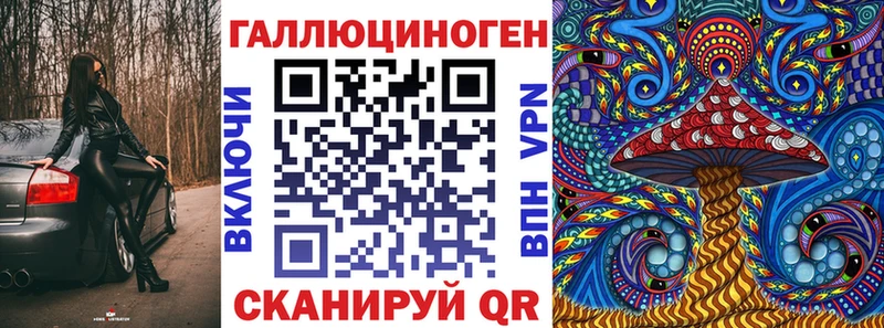 купить наркоту  Судогда  Галлюциногенные грибы Psilocybe 
